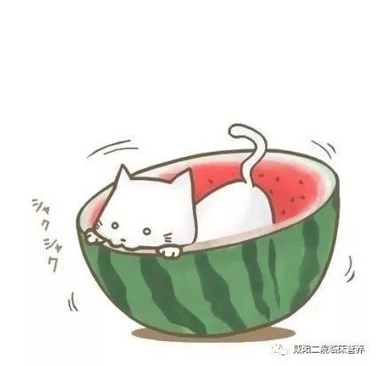 当代人吃瓜动画,揭秘当代人的娱乐狂欢与心理解码