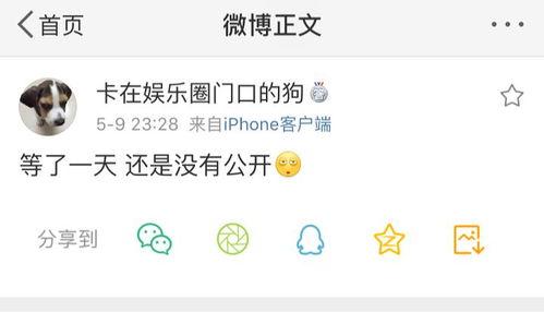 吃瓜爆料使者,吃瓜爆料使者带你探秘明星幕后故事