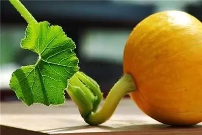 小瓜煮水吃的功效,夏日消暑、养生保健的天然良方