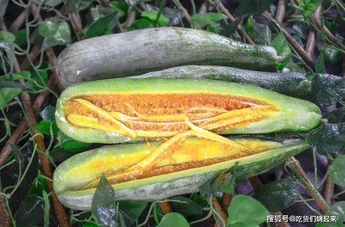 株洲网红吃瓜,揭秘当地美食圈的热辣话题