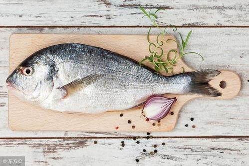 吃活八瓜鱼韩国