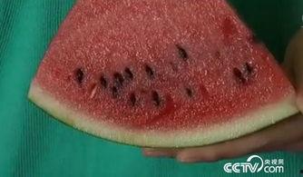 不吐籽吃瓜,尽享夏日清凉美味