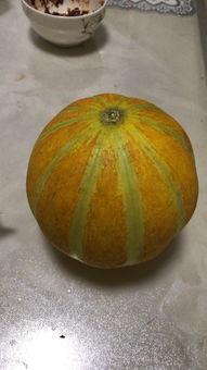 怀孕可以吃普瓜