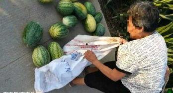 庄河最近吃瓜事件