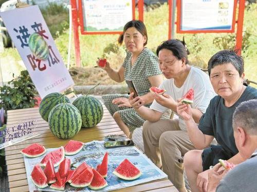 吃瓜户外,一场全民参与的娱乐盛宴
