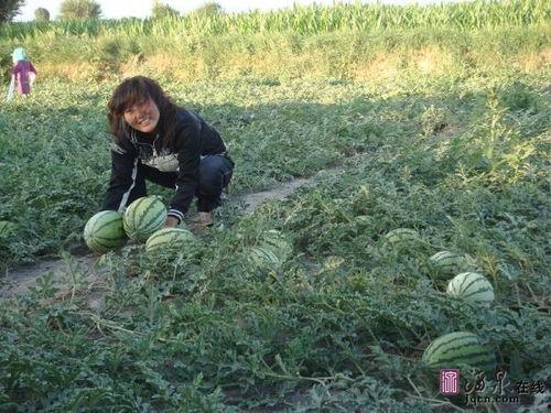 吃瓜户外,一场全民参与的娱乐盛宴