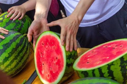 ucsd大学吃瓜,揭秘校园里的“吃瓜”文化现象