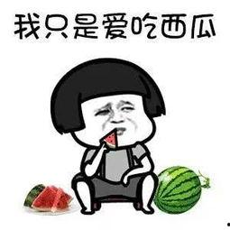 吃瓜群众瓜圈,揭秘吃瓜群众的狂欢世界