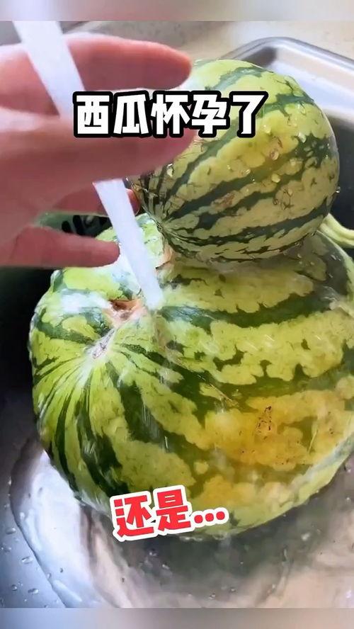 吃瓜常用配音,揭秘娱乐圈那些事儿