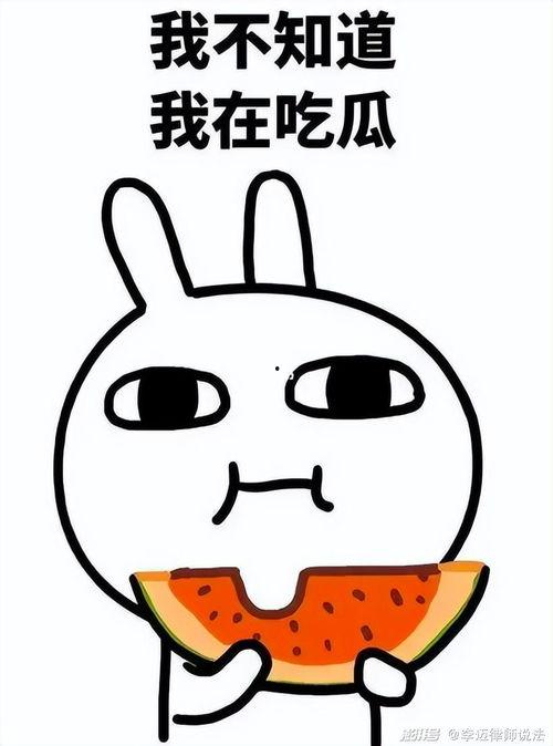 吃瓜全凭自己猜,全凭自己猜的娱乐世界