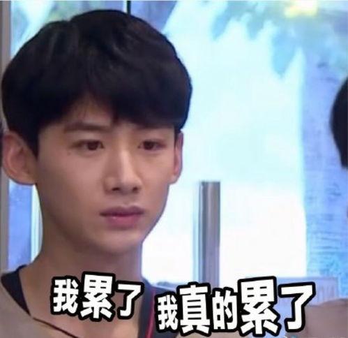 吃瓜全凭自己猜,全凭自己猜的娱乐世界