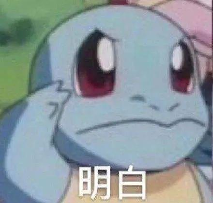 吃瓜表情汇总大全,趣味横生的表情包世界