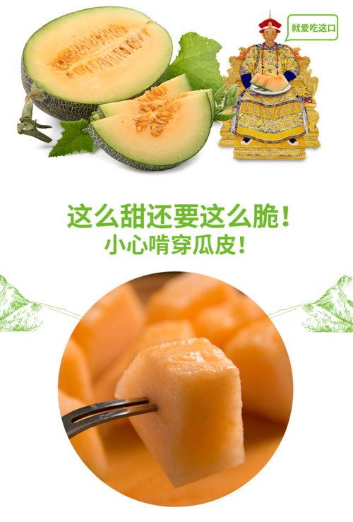 胖虎吃蜜瓜,胖虎的甜蜜蜜瓜冒险记