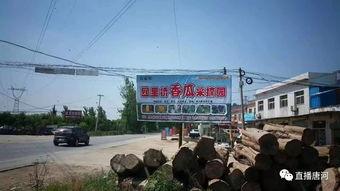 唐河县吃瓜群众,吃瓜群众热议，揭秘当地热点事件