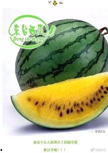 地球吃瓜君,揭秘地球上的奇闻异事