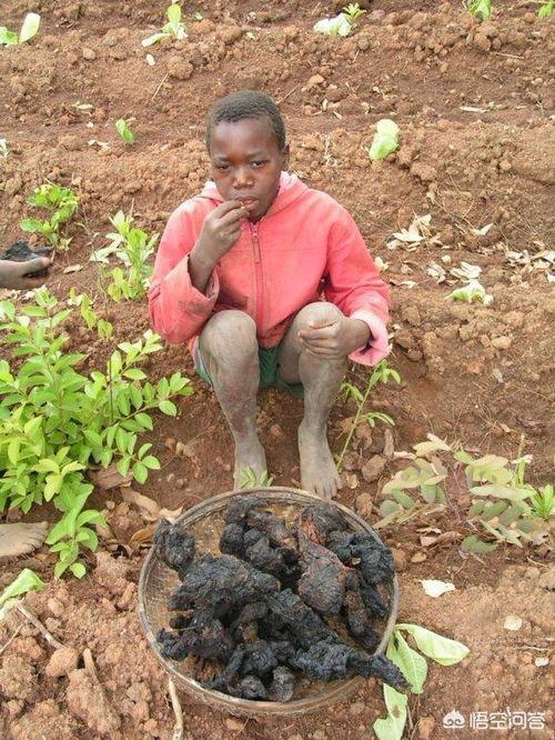 象郭庄吃瓜,夏日消暑新风尚