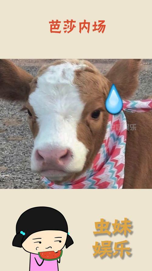 小孩吃瓜抖音,抖音上的小孩吃瓜瞬间