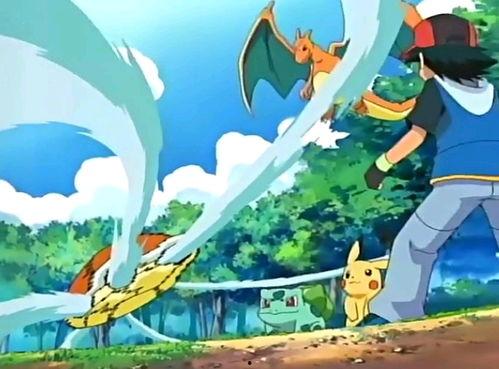 小智挑战吃瓜,一场趣味横生的夏日盛宴