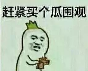 太公湖吃瓜群众视频,吃瓜群众视角下的夏日狂欢