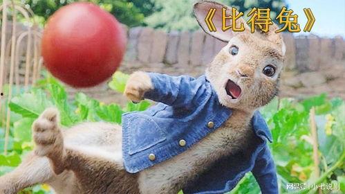 疯狂的兔子吃瓜,一场别开生面的美食盛宴