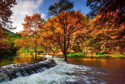 贵阳花果园大型吃瓜,大型“吃瓜”活动热力四溢