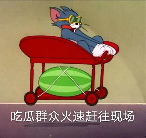 hello吃瓜人,揭秘娱乐圈的酸甜苦辣