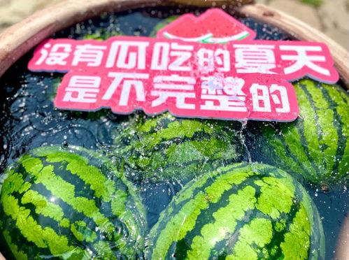 吃瓜大型现场,一场全民参与的狂欢盛宴