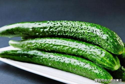 小萨吃绿瓜,小萨的绿瓜奇遇记