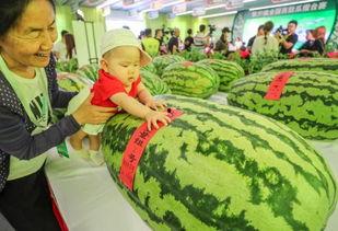 广州郊区吃瓜群众,百姓生活里的甜蜜时光