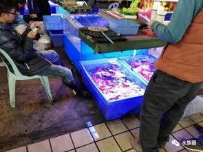 广州郊区吃瓜群众,百姓生活里的甜蜜时光