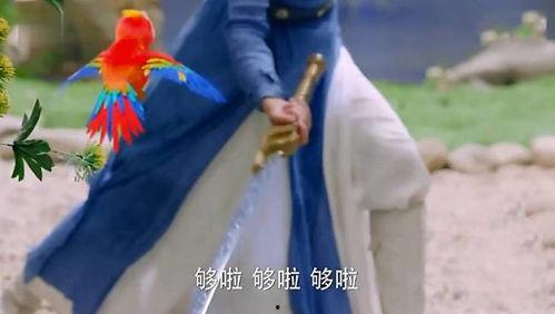 吃瓜王座龙溪玥,吃瓜王座，揭秘娱乐圈幕后风云