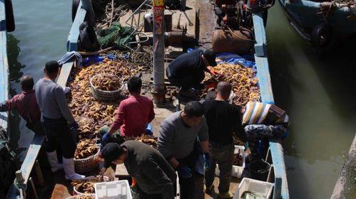 渔民吃瓜围观演习,见证海上安全新篇章