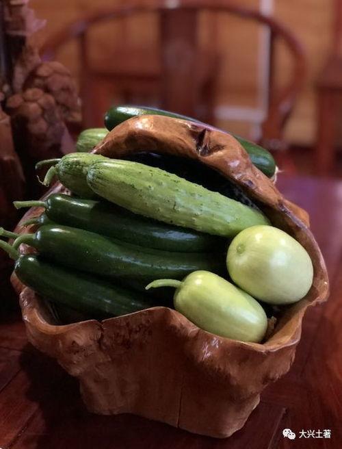 陕能源最新吃瓜,揭秘行业风云背后的真相