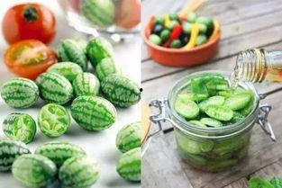 店里吃大瓜,揭秘美食店里的独特风味之旅