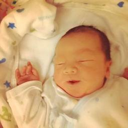 小牛吃瓜,一场田园牧歌的趣味之旅