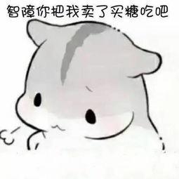 仓鼠吃瓜的表情包,萌态可掬，瓜香四溢