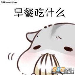 仓鼠吃瓜的表情包,萌态可掬，瓜香四溢