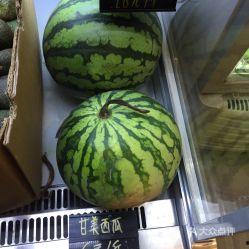 小火龙吃瓜用户,揭秘网络红人的瓜田奇遇