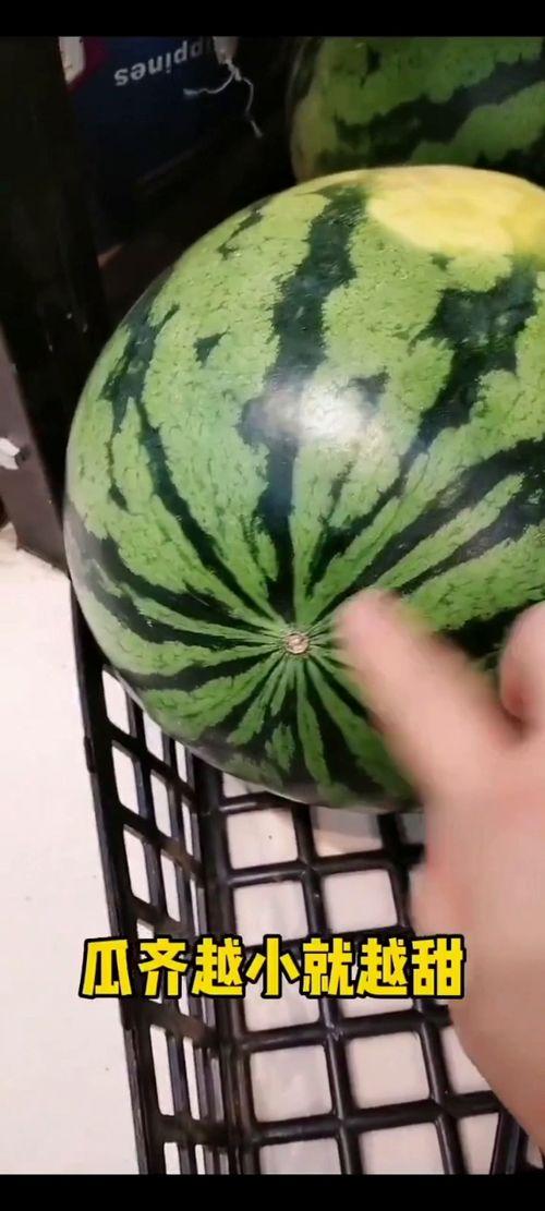 到了每天吃瓜的节奏,跟随节奏，畅享瓜界盛宴