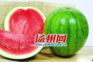 吃籽瓜感冒好了,天然食疗的神奇疗效