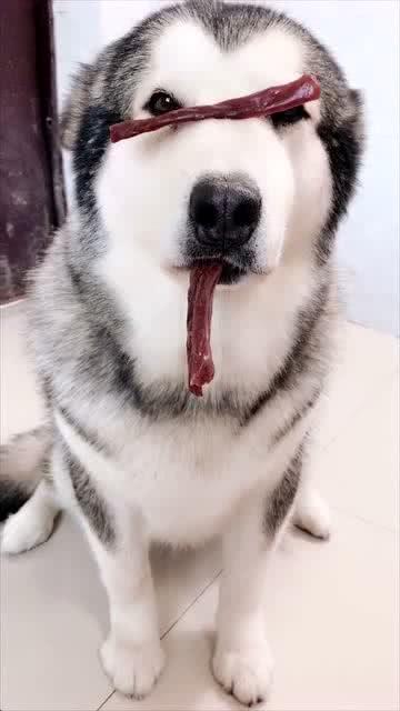 绝望中吃瓜,吃瓜者的心灵慰藉之旅