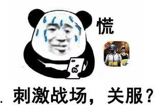 绝望中吃瓜,吃瓜者的心灵慰藉之旅