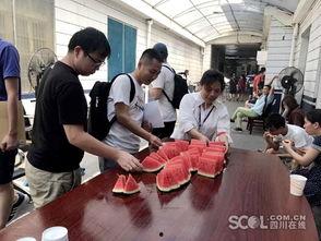 成华区吃瓜群众事件,一场网络舆论的风暴与反思