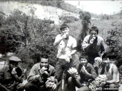 对照知青组吃瓜日常,对照知青组吃瓜日常的温馨回忆