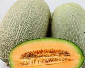 淼淼吃哈密瓜最新视频,甜蜜哈密瓜之旅，尽享夏日清凉