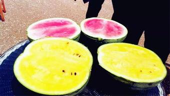 国内吃瓜爆料在哪看,热门平台一览