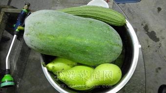 国内吃瓜爆料在哪看,热门平台一览