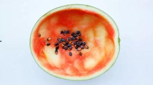 用勺子吃的瓜日本,传统与创新的美味邂逅