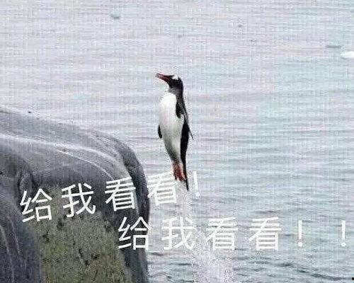 邢台吃瓜情报处在哪,揭秘本地新鲜趣事，带你领略瓜界风云