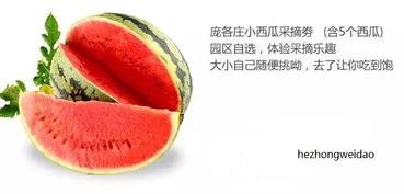 做等吃瓜,看人间百态